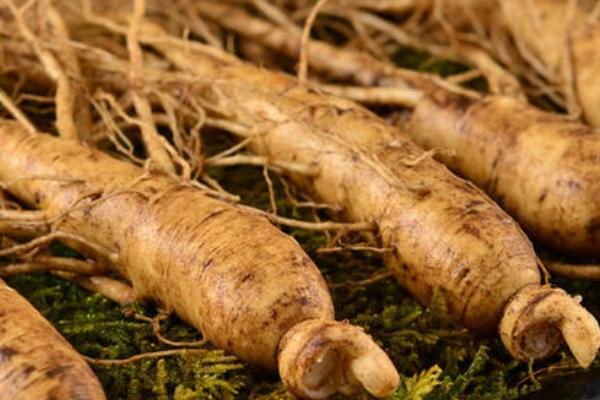 兰茸参多少一斤?兰茸参是什么(颜色)?