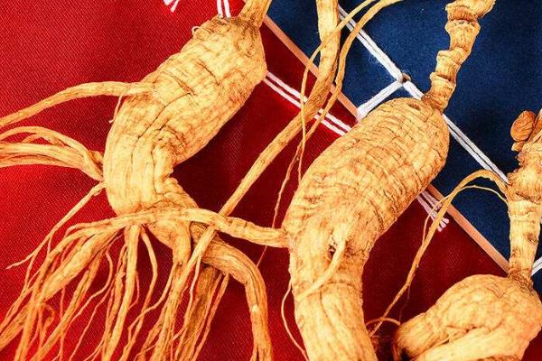 兰茸参多少一斤?兰茸参是什么(颜色)?