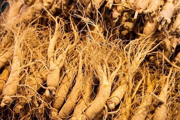 兰参多少一斤?兰参是什么(颜色)?