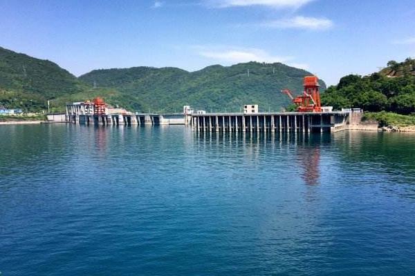 清江鱼是发物吗?附常见食用方法