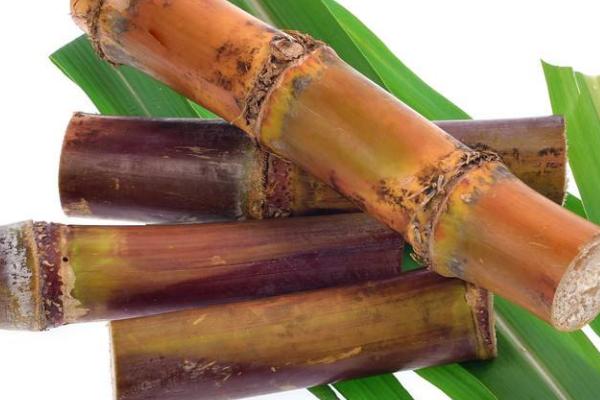甘蔗外面红了还可以吃吗?甘蔗外面为什么会红