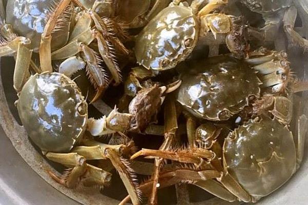 河蟹和海蟹哪个贵?哪个更好吃?