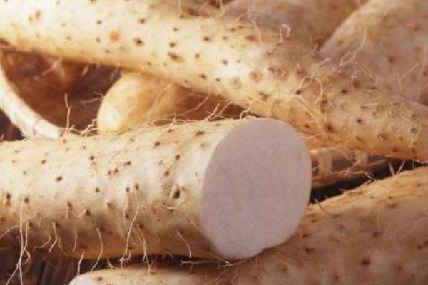 河北山药产地在哪里,批发市场在哪里