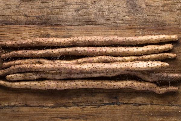 河北山药产地在哪里,批发市场在哪里