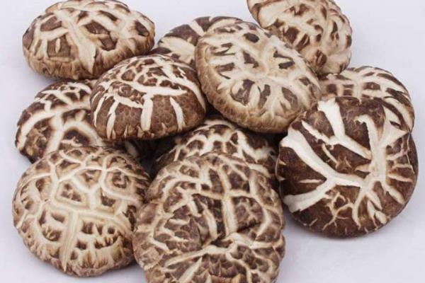 香菇怎么种植方法,附栽培注意事项