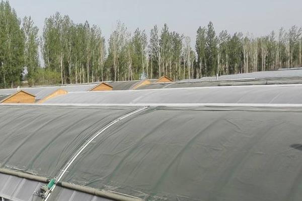 大棚棉被怎么安装上去