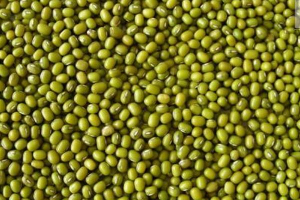 祛湿驱寒喝什么茶,吃什么食物好