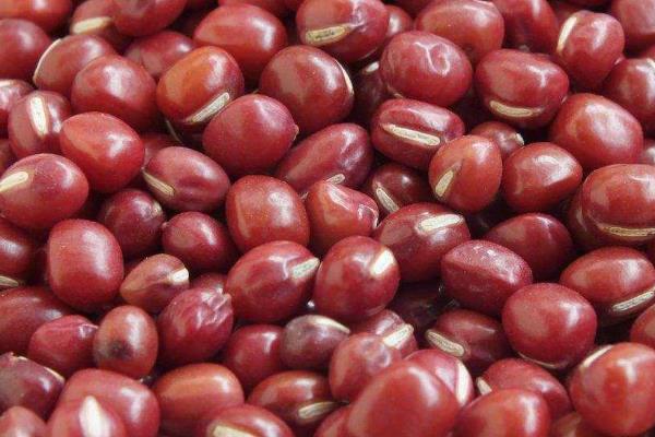 祛湿驱寒喝什么茶,吃什么食物好