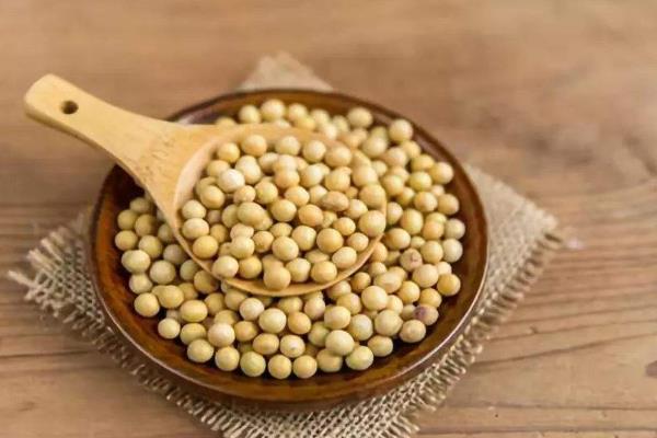 中国进口美国大豆多少量?用来干什么?