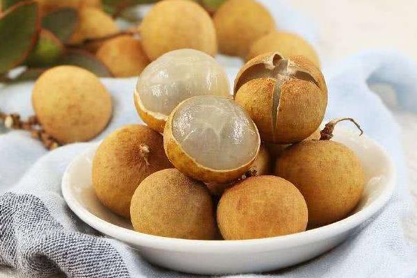 龙眼长芽了肉还能吃吗?龙眼长白毛了还能吃吗?