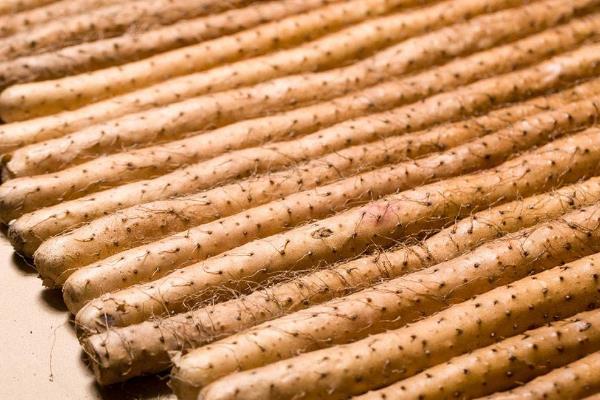 铁棍山药发芽了还能吃吗,还能种植吗