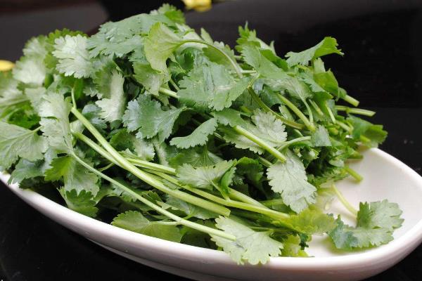 香菜可以生吃吗?有细菌吗