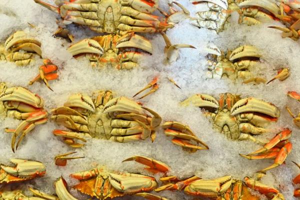 速冻螃蟹能吃吗?直接蒸还是解冻蒸?