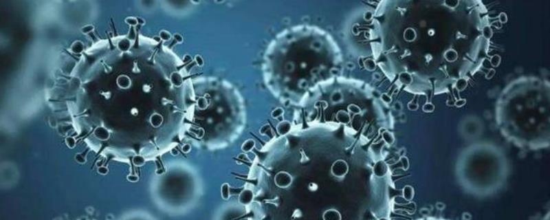 h7n9是什么病毒,感染人吗