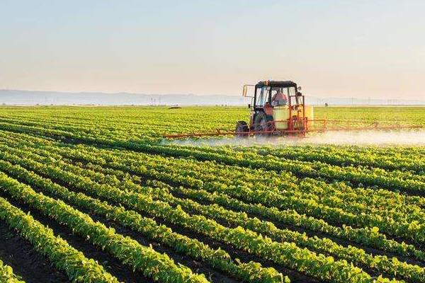 大规模种地挣钱吗,种地能发家致富吗