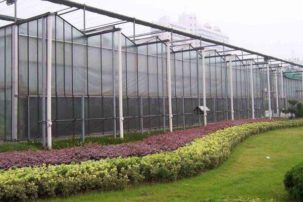 10亩连栋大棚造价多少,连栋大棚多少钱一平方,连栋大棚怎么除雪?