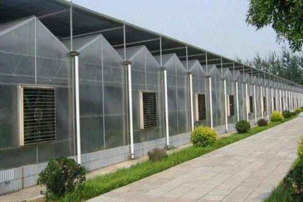 10亩连栋大棚造价多少,连栋大棚多少钱一平方,连栋大棚怎么除雪?