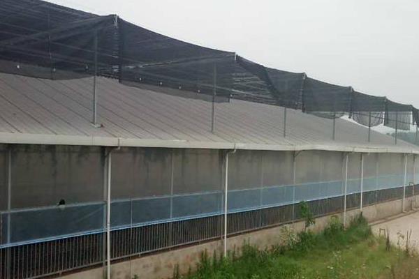 10亩连栋大棚造价多少,连栋大棚多少钱一平方,连栋大棚怎么除雪?