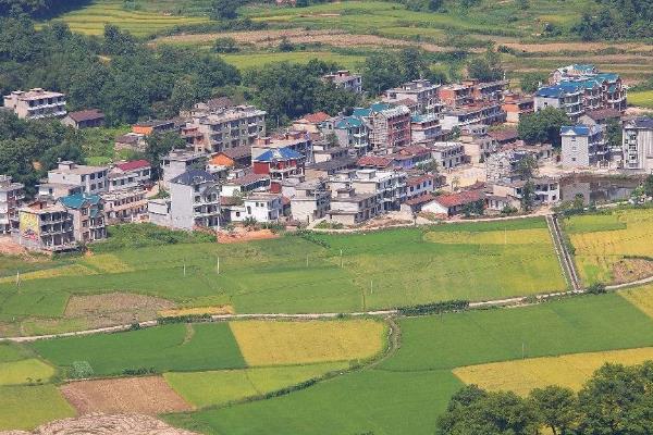 大规模种地挣钱吗,种地能发家致富吗