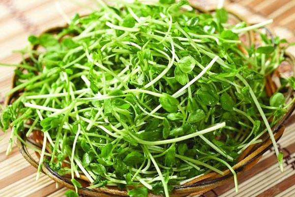 兰豆苗有什么功效,兰豆苗怎么炒好吃