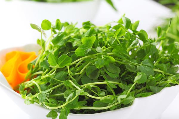 兰豆苗有什么功效,兰豆苗怎么炒好吃