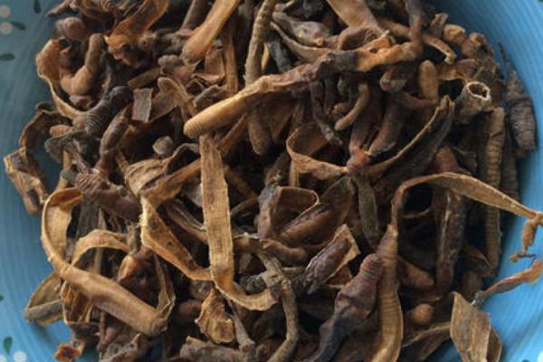 干蚯蚓收购是骗局吗，干蚯蚓多少钱一斤