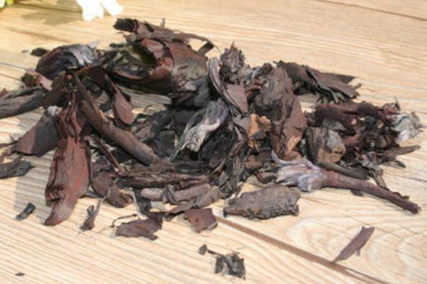 亩效益过万的一年生药材有哪些,附常见的一年生中药材