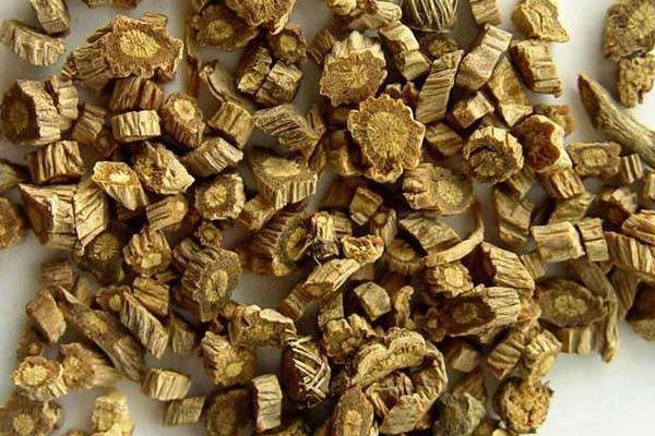 亩效益过万的一年生药材有哪些,附常见的一年生中药材