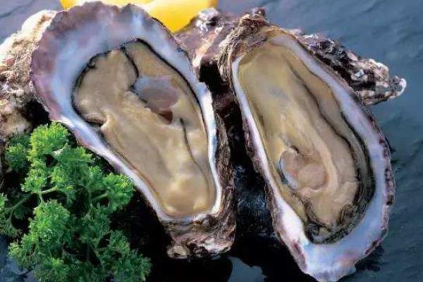 乳山生蚝几月份最肥,几月份上市,可以生吃吗?