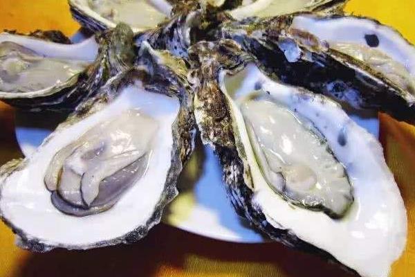 乳山生蚝几月份最肥,几月份上市,可以生吃吗?