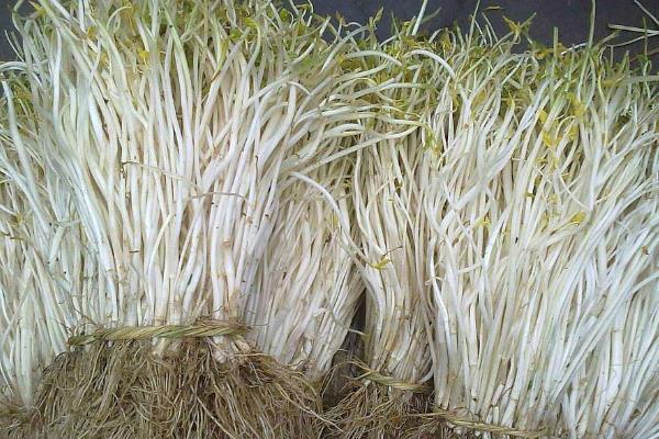 溧阳白芹现在多少一斤?怎么保存?附常见做法