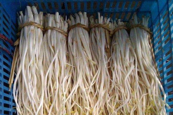 溧阳白芹现在多少一斤?怎么保存?附常见做法