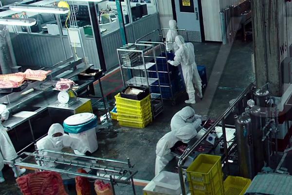 屠宰场利润大吗,屠宰场需要什么手续