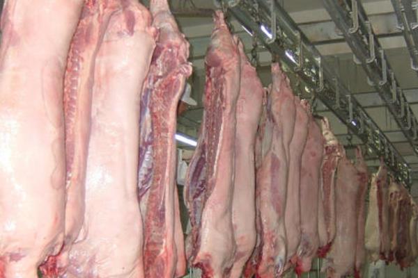 屠宰场利润大吗,屠宰场需要什么手续