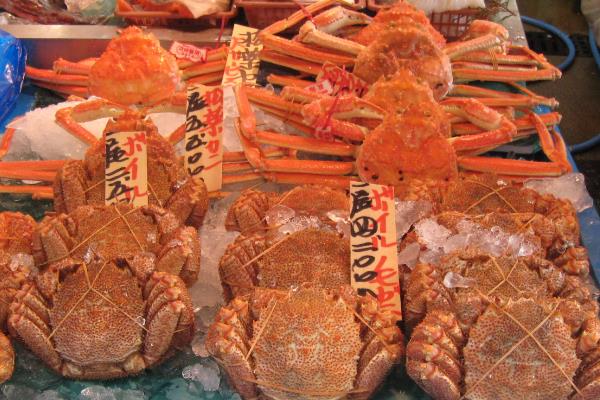 水产生意有多暴利,水产生意一月能赚多少