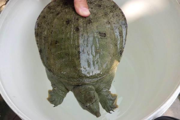 水产生意有多暴利,水产生意一月能赚多少