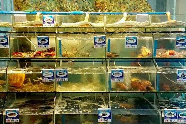 水产生意有多暴利,水产生意一月能赚多少