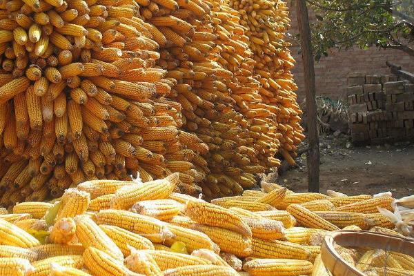 农村代加工好项目,介绍几个农村小型加工厂项目