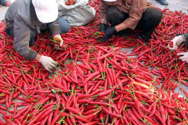 农村代加工好项目,介绍几个农村小型加工厂项目