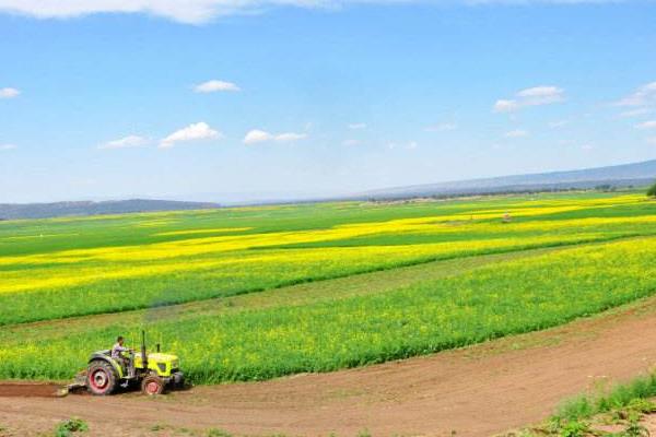 农业绿色发展的趋势包括哪几个方面哪些内容