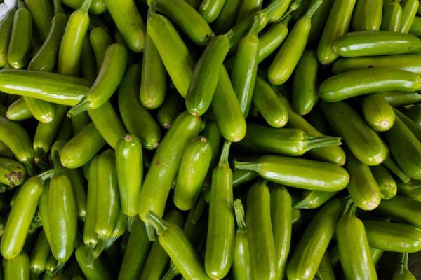 西葫芦最怕的农药,这些农药不能乱用