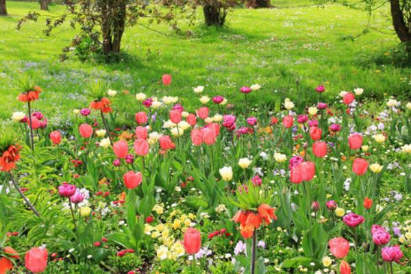 在农村开个花圃挣钱吗？需要什么手续资质？要注意什么？