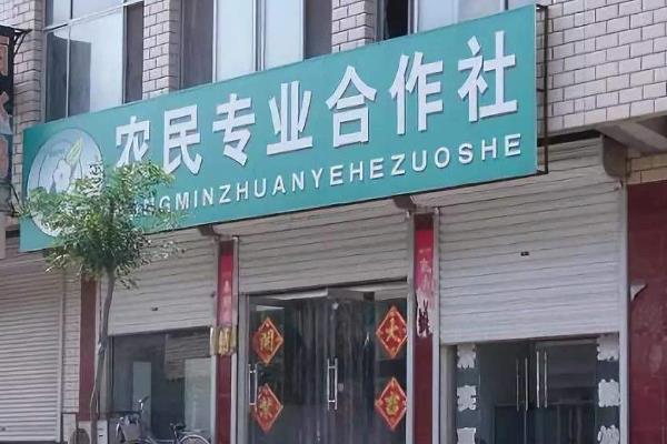 多少亩地能成立合作社,开合作社需要多少资金