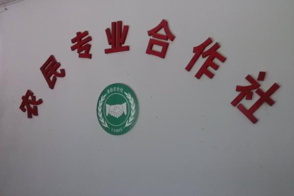 多少亩地能成立合作社,开合作社需要多少资金