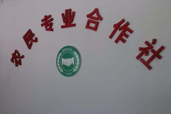 农业合作社响亮的名字,大气的农村合作社名字
