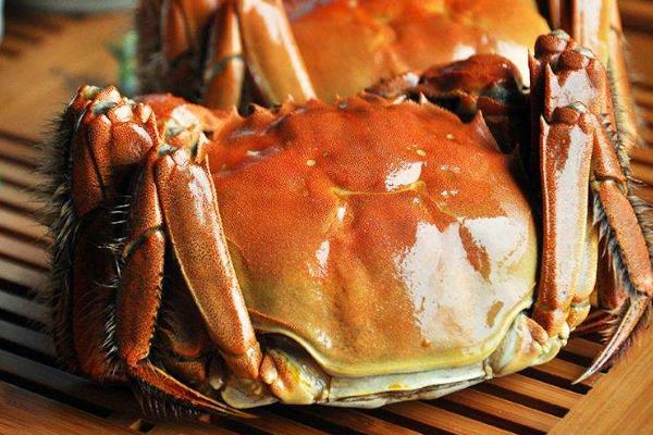 螃蟹的价值以及用途(附功效作用及禁忌)