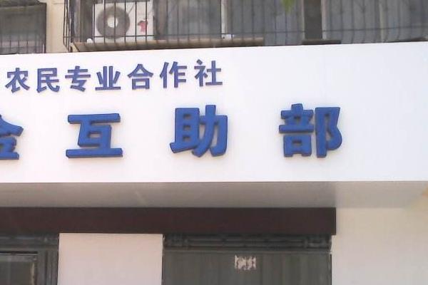 农业合作社响亮的名字,大气的农村合作社名字
