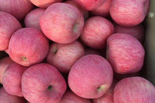 苹果里面发霉了还能吃吗,如果外面果子是好的能吃吗?