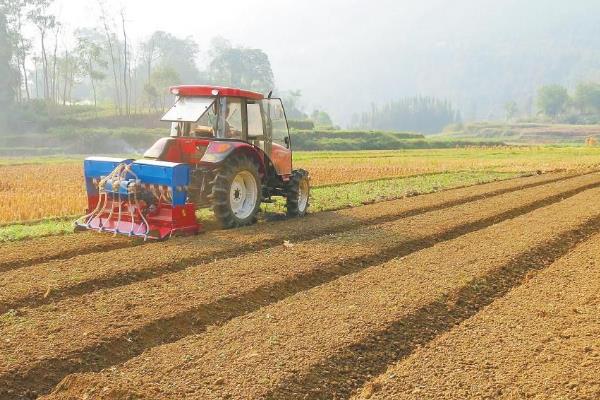 农业合作社响亮的名字,大气的农村合作社名字