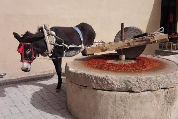 杀一头驴的利润是多少,能挣多少钱